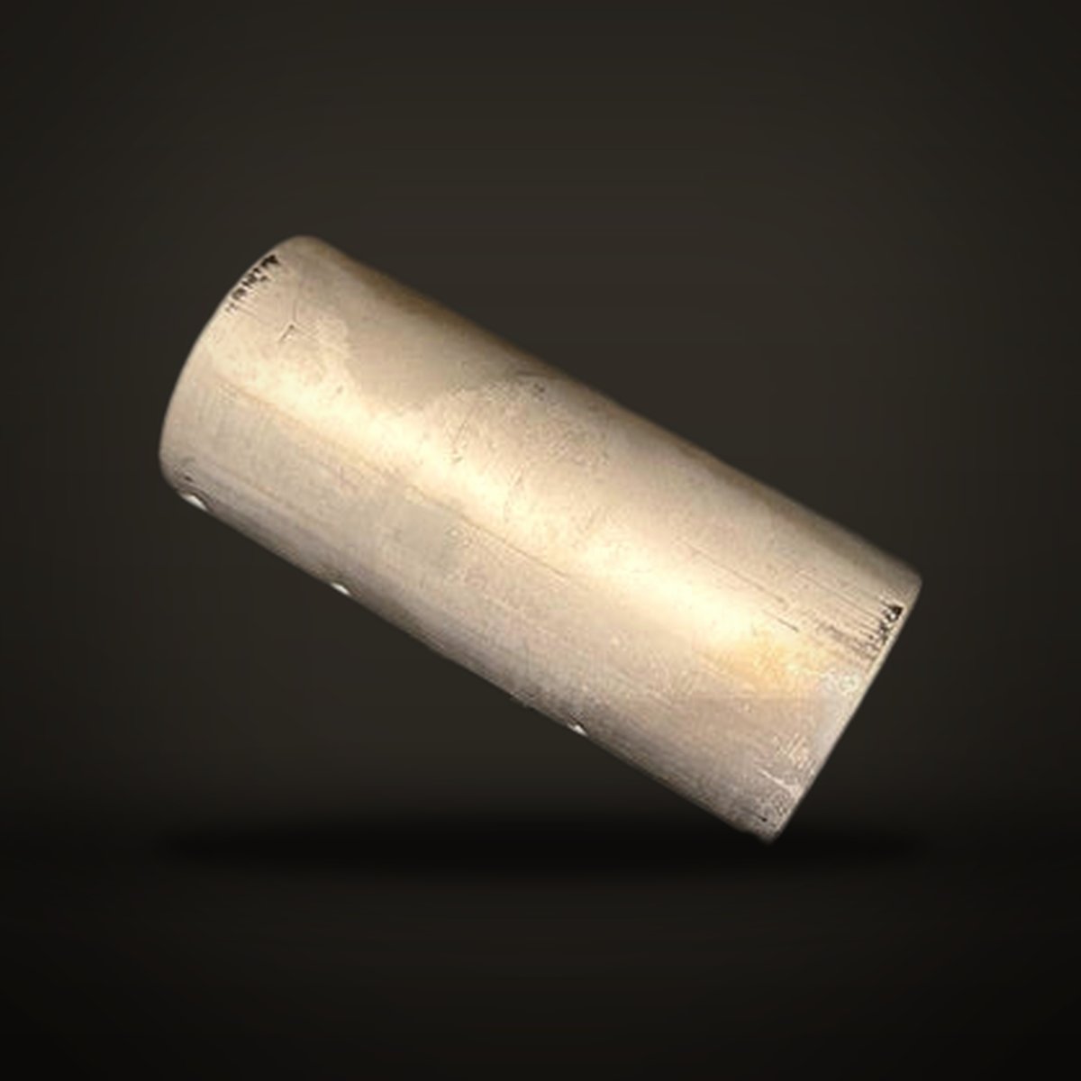 Bolt for slide rail